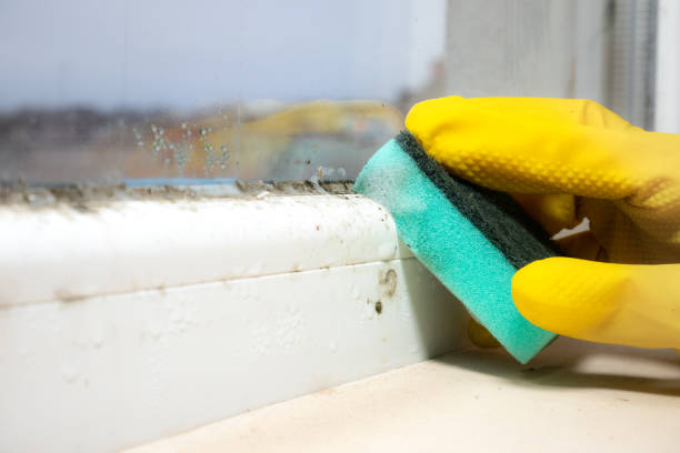 Best Residential Mold Removal  in Cresco, IA