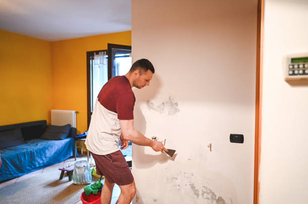 Best Water Damage Restoration  in Cresco, IA